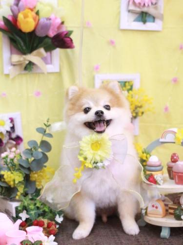 20230311モコくん